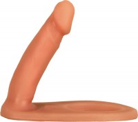 Prótese Convencional